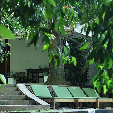 Ceylon Olive Ґалле Екстер'єр фото