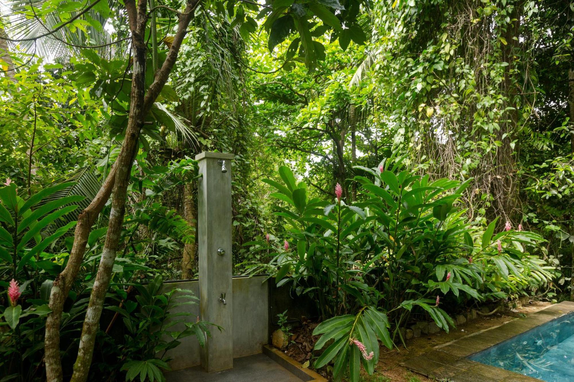 Ceylon Olive Ґалле Екстер'єр фото