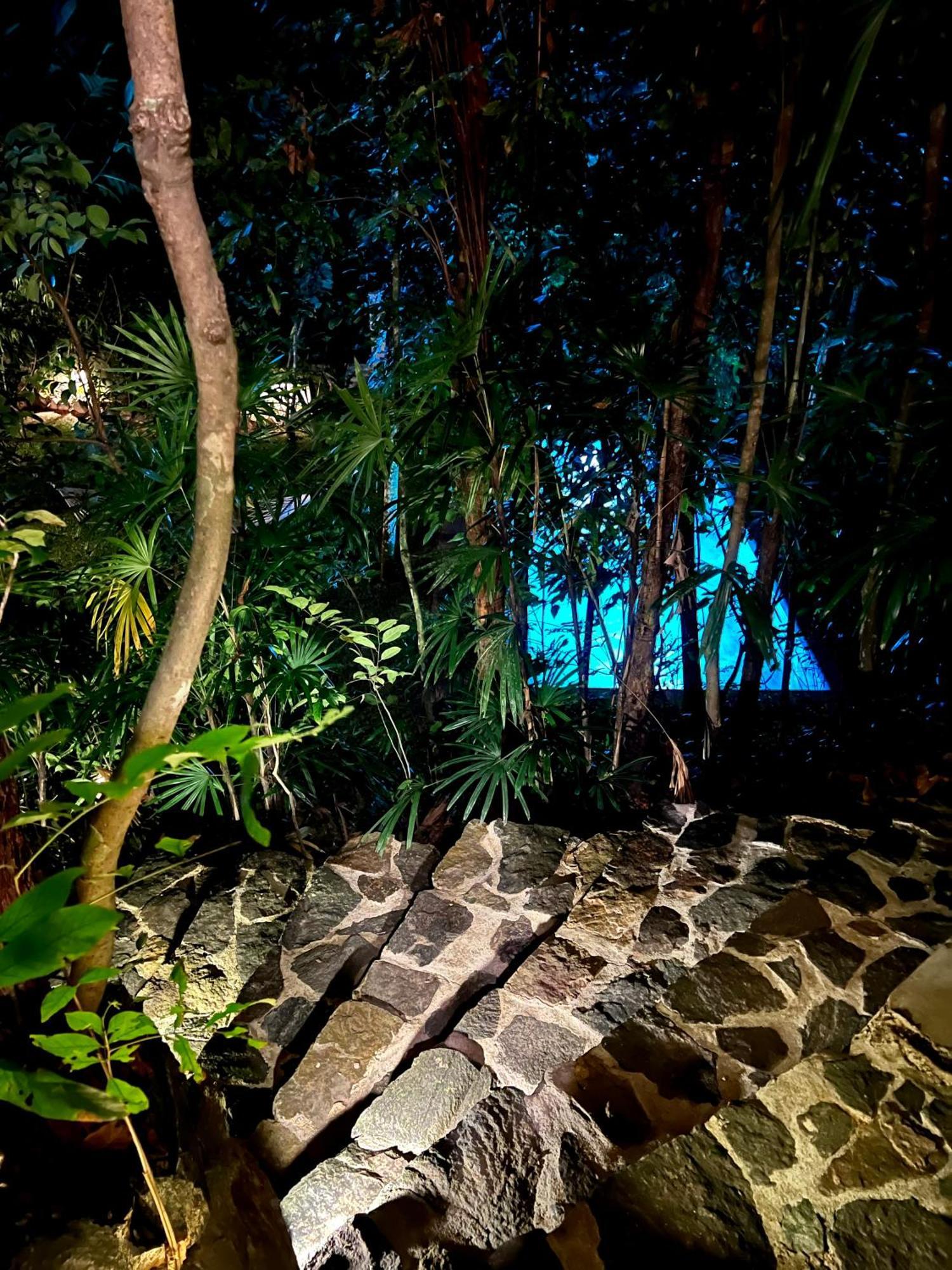 Ceylon Olive Ґалле Екстер'єр фото