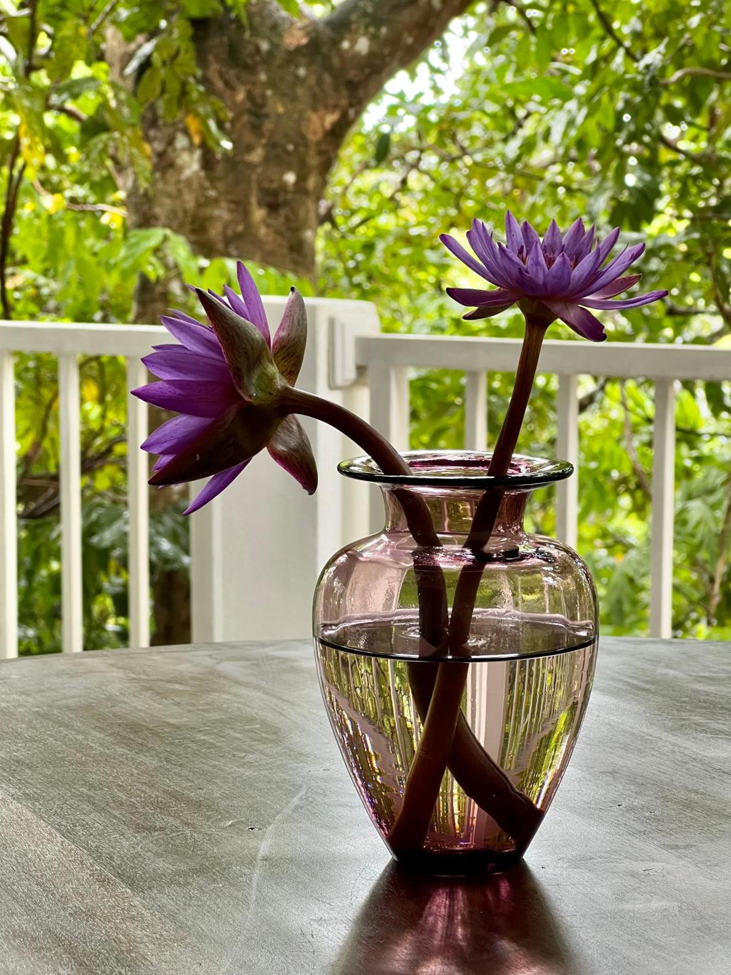 Ceylon Olive Ґалле Екстер'єр фото