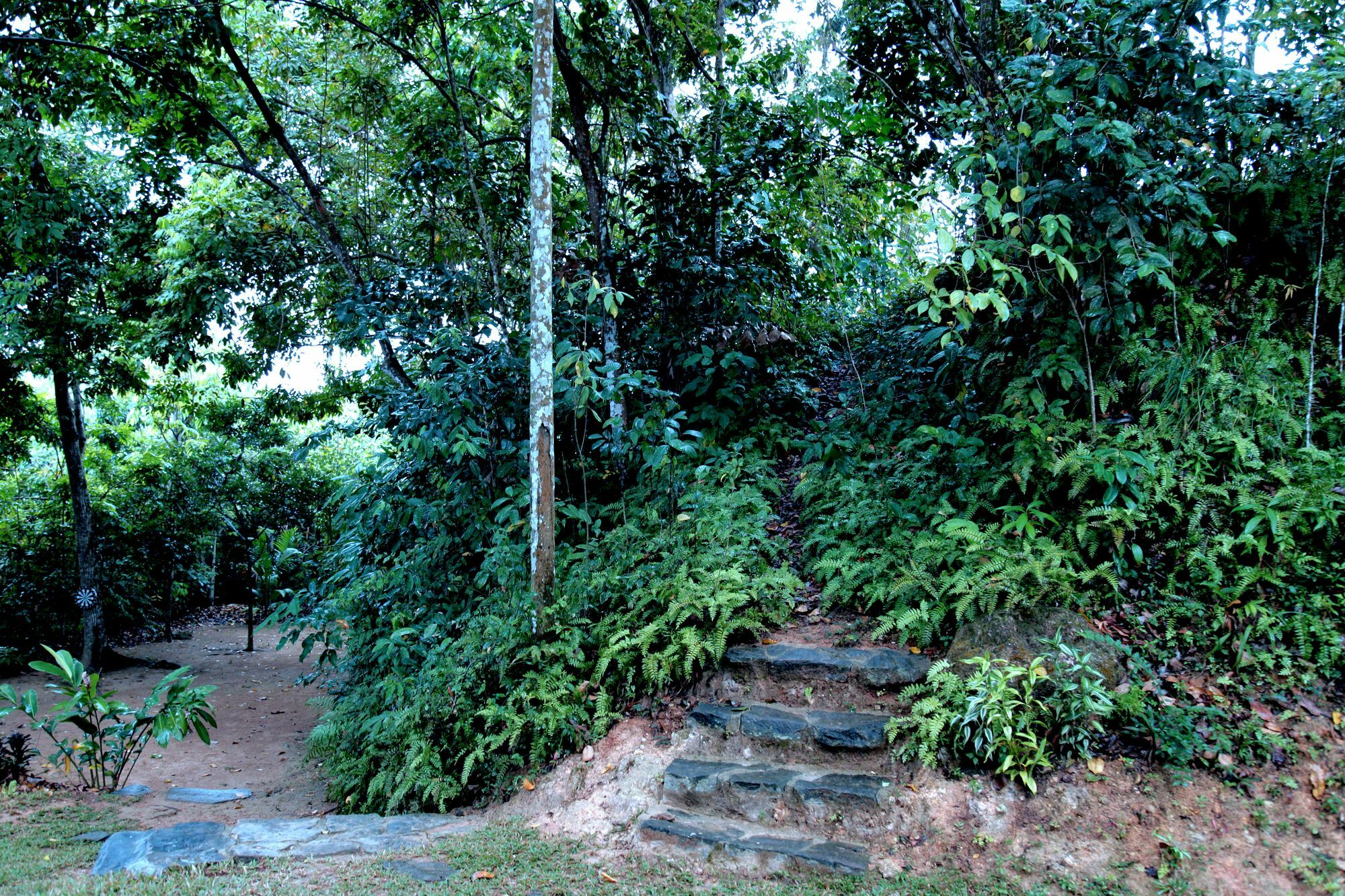 Ceylon Olive Ґалле Екстер'єр фото