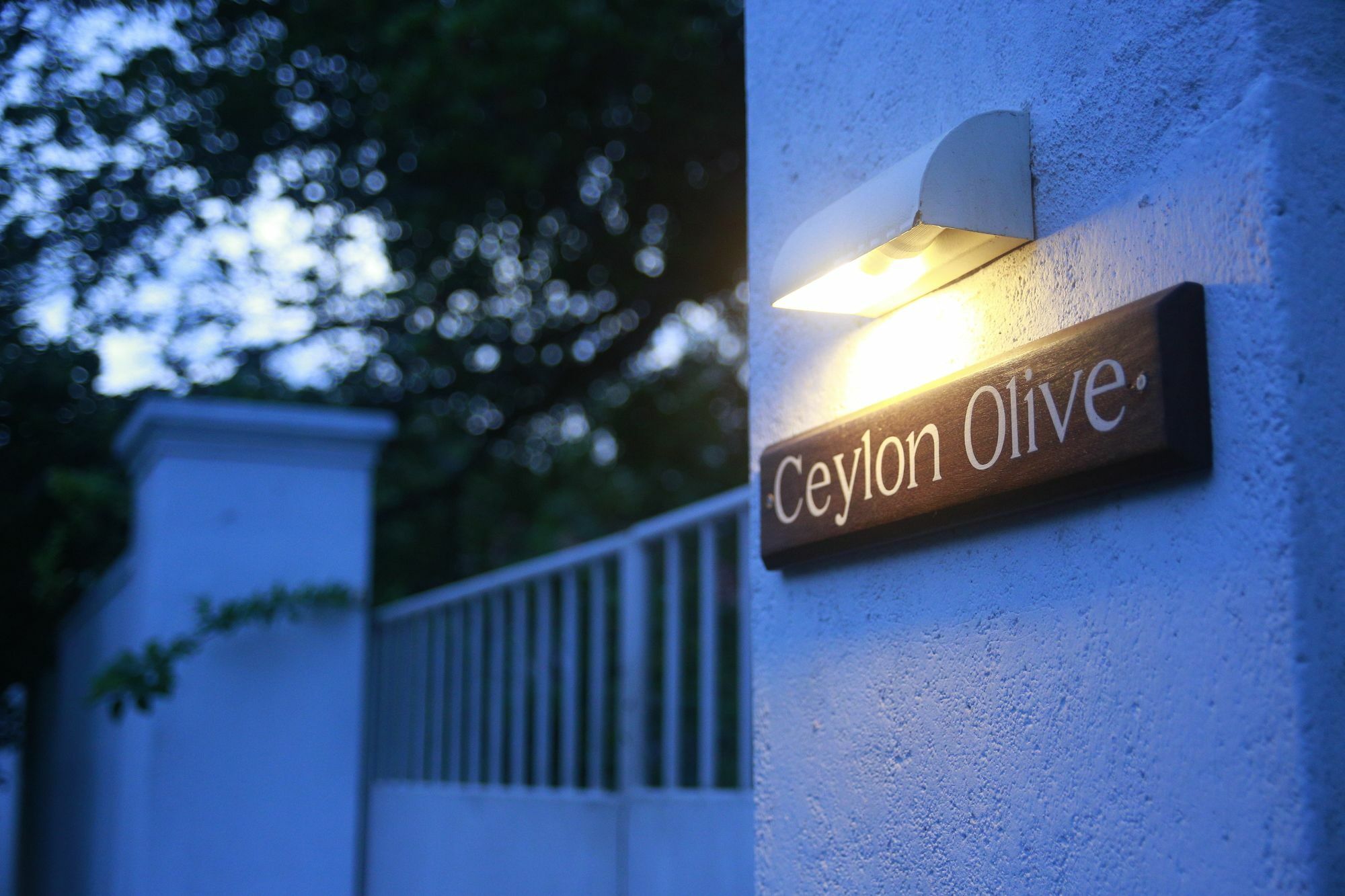 Ceylon Olive Ґалле Екстер'єр фото